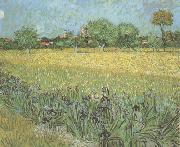 Vincent Van Gogh View of Arles with Irises in the Foreground (nn04) Spain oil painting artist